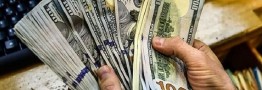 انتقال یارانه ارزی به مصرف کننده، سیاست درست دولت بود