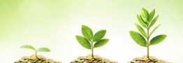 شروع تغییرات اقلیمی شهرها با مقیاس کوچک