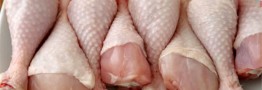 مرغ هم به سرنوشت تخم مرغ دچار می&zwnj;شود