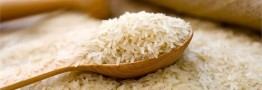 جزییات حمایت وزارت جهاد کشاورزی از تولید برنج داخلی