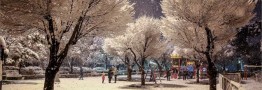 بی تاثیر بودن بارش&zwnj;های برف اخیر تهران بر ذخایر آبی