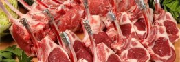 واردات گوشت از مغولستان