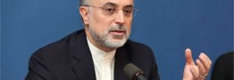 صالحی: هیات نظارت بر برجام در خصوص ماندن یا خروج از آن تصمیم می&zwnj;گیرد