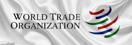 آماده سازی برای پیوستن به WTO