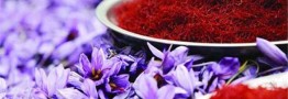 تشخیص دشوار زعفران اصل از تقلبی/مردم فریب قیمت&zwnj;های پایین زعفران را نخورند