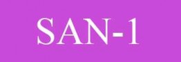 آنالیز مواد SAN-1 پتروشیمی قائد بصیر