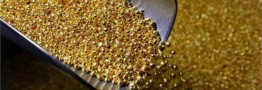 کشف ۳۰۰۰ تن ذخایر معدنی طلا در هند