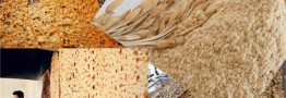 هیچ تصمیمی درباره قیمت نان اتخاذ نشده