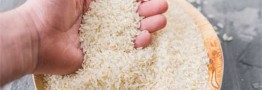 توزیع ۱۵۰ هزار تن برنج در بازار/ موجودی برنج در کشور مطلوب است