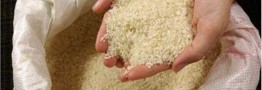 نماینده ساری: برنج ۹۰ هزار تومانی، ۳۵ هزار تومان خریداری شده است