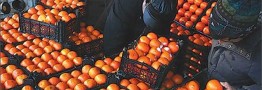 با هرگونه احتکار و اختلال در بازار شب عید برخورد می&zwnj;شود