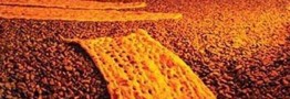 مشکل اتباع خارجی برای خرید نان با کارتخوان هوشمند حل شد