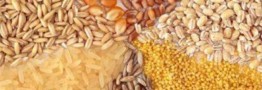 قیمت&zwnj;گذاری دستوری فروش نهاده&zwnj;های دامی منجر به کاهش واردات می&zwnj;شود