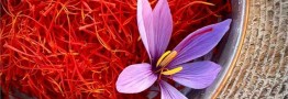 بزرگترین تولیدکننده زعفران هستیم ولی همچنان خام&zwnj;فروشی می&zwnj;کنیم