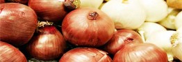 کاهش ۱۵ درصدی قیمت پیاز در راه است