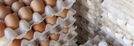 قیمت جدید تخم&zwnj;مرغ اعلام شد