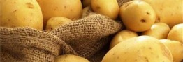 ممنوعیت صادرات پیاز و سیب&zwnj;زمینی، از اول خرداد