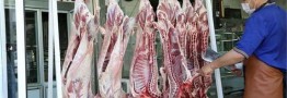 قیمت شقه گوسفندی به ۴۸۰ هزارتومان رسید