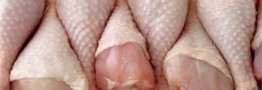 تعرفه صفر واردات مرغ چه بر سر تولید می&zwnj;آورد؟