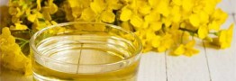 نرخ خرید تضمینی کلزا ۳۹ هزار تومان