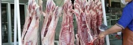 آغاز روند نزولی قیمت گوشت در بازار با استمرار و افزایش واردات