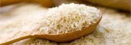 ممنوعیت واردات و توزیع برنج خارجی با وجود برنج در انبارهای کشاورزان