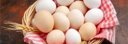 لغو ممنوعیت صادرات تخم مرغ