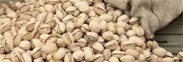 صادرات ۶۷میلیون یورو پسته به اروپا در ۹ ماه/ چین ۲۰میلیون دلار پسته از ایران خرید