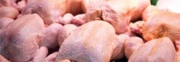 روند کاهشی قیمت مرغ در بازار از ۲ هفته دیگر