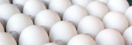 قیمت جدید تخم&zwnj;مرغ اعلام شد