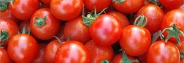 عوارض صادراتی پیاز و گوجه فرنگی کاهش یافت