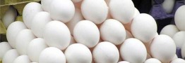 فروش هر کیلو گرم تخم مرغ بالاتر از ۵۷ هزار تومان گرانفروشی است