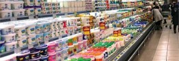 کاهش ۸۰ درصدی تعداد شرکت&zwnj;های لبنی ایران/ انبار ۱۰۰ هزار تن شیر خشک