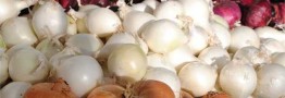 بازار پیاز در ۱۰ روز آینده به ثبات می&zwnj;رسد