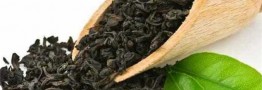 خریدتضمینی برگ سبزچای ۱۸هزار تومان است/تغییر ذائقه از چای به قهوه