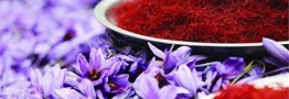 ایران تامین کننده ۹۰ درصد زعفران دنیا