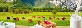 رشد بیش از ۶۰ درصدی صادرات محصولات لبنی