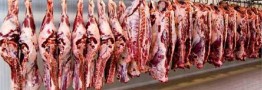 رشد ۲ درصدی عرضه گوشت قرمز در کشتارگاه&zwnj;های رسمی