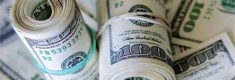 جلسه ارزی بانک مرکزی با پتروشیمی&zwnj;ها/ عرضه ارز افزایش می&zwnj;یابد