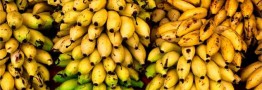 قیمت منطقی هرکیلو موز یک دلار است