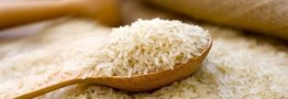 تعیین قیمت دستوری برای برنج از روی ناچاری بود