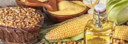 دانه&zwnj;های روغنی در حادثه اسکله شهید رجایی آسیبی ندیدند