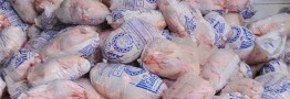 قیمت مرغ منجمد تعیین شد