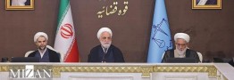 رئیس قوه قضا: احتکار برنج توسط یک شرکت عامل گرانی&zwnj;ها