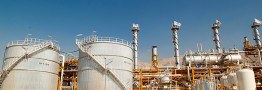 شاخص&zwnj;های زیست محیطی در فازهای 20 و 21 شرایط مناسبی دارند