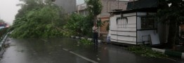  اعلام جزئیاتی از خسارات طوفان جمعه در مازندران