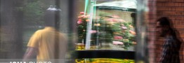 قطع همکاری با اساتید دانشگاه&zwnj;ها سیاسی نیست/ ابلاغ کلیات عفو عمومی به وزارت علوم