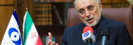 صالحی: ویروس استاکس&zwnj;نت به چند کارخانه پتروشیمی آسیب رساند