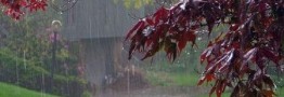 شروع بارندگی ها از سه شنبه این هفته