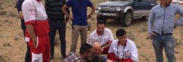 سگ باوفا ،ناجی چوپان شد